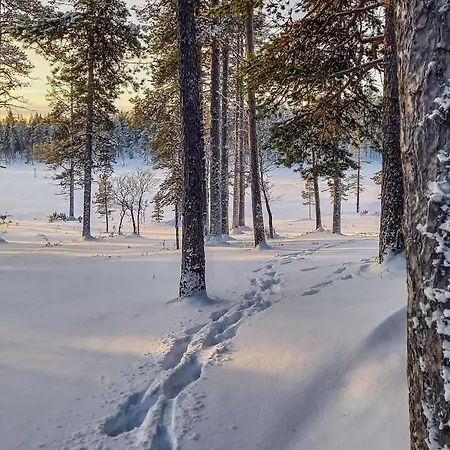 Vuolkuma B By Interhome * Saariselkä