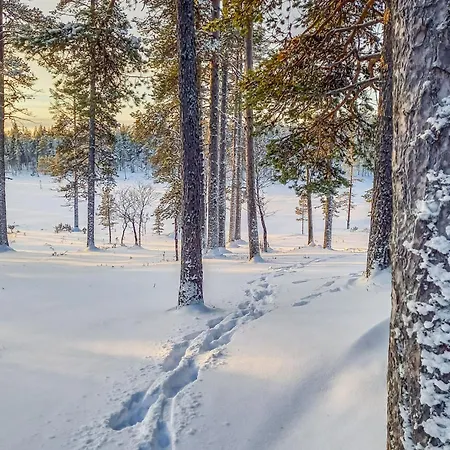 Vuolkuma B By Interhome * Saariselka