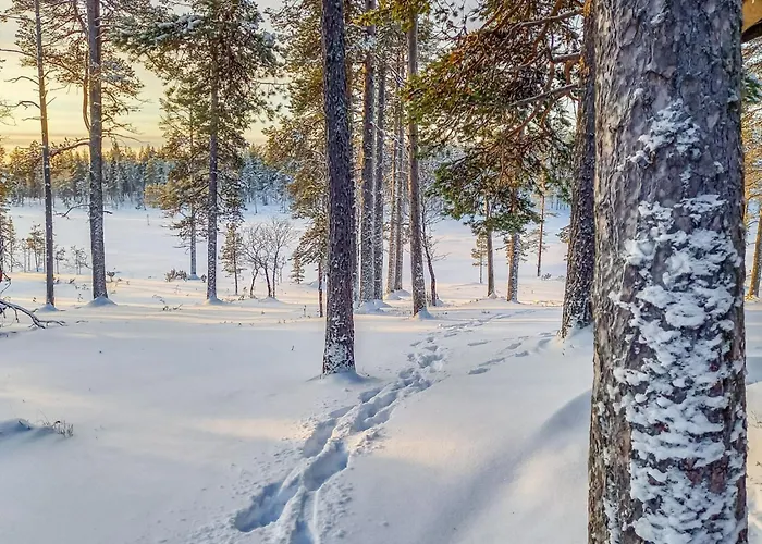 Vuolkuma B By Interhome * 萨利色尔卡